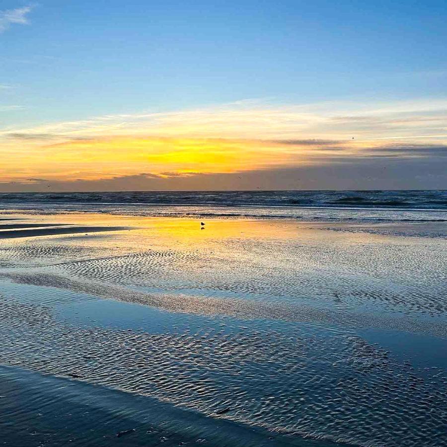 Le Pouget , Studio, Rez De Chaussee, Front De Mer Wifi Le Touquet Exterior photo
